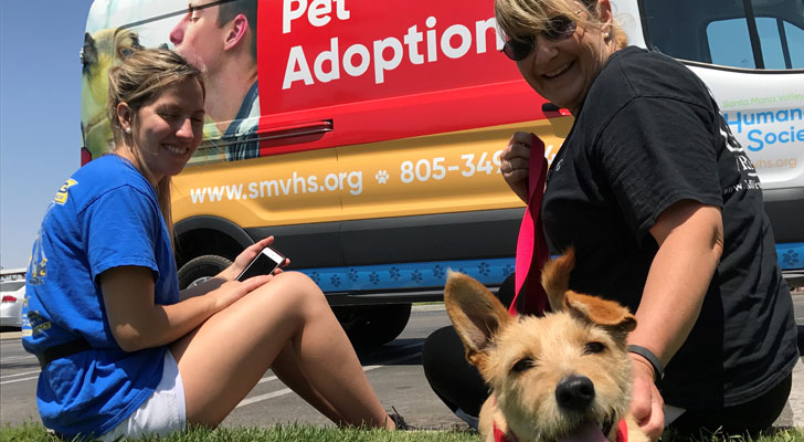 DA dog adoption