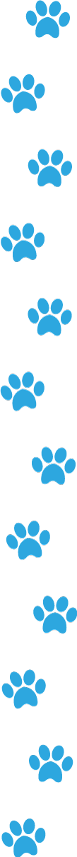 blue paw prints