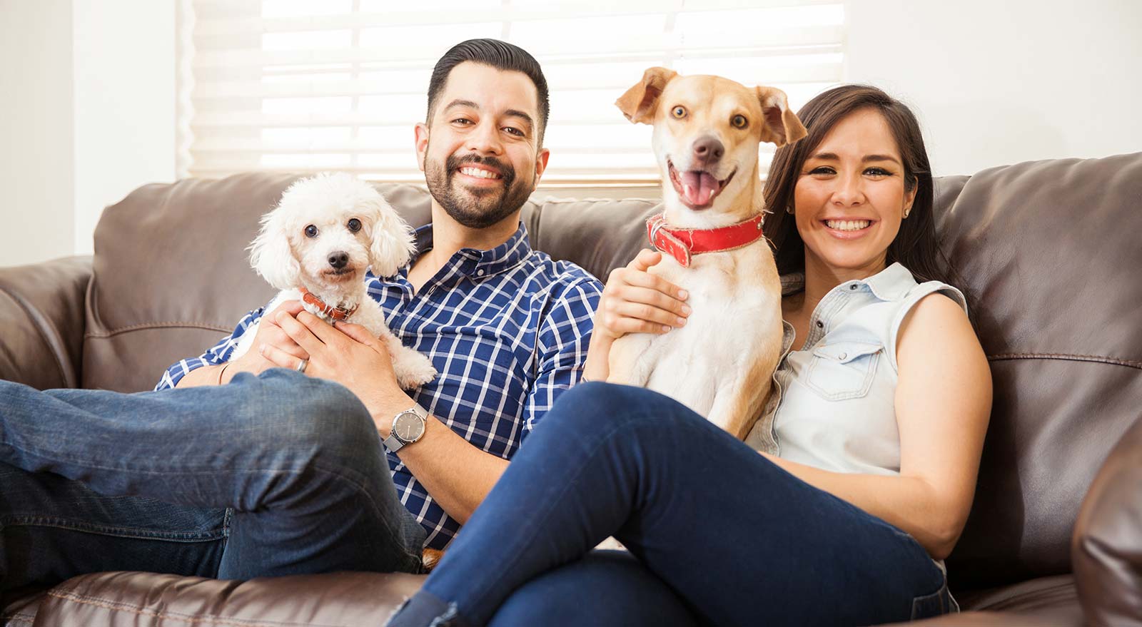 Bark-University-Dog-Training-Hispanic-family-with-happy-dogs