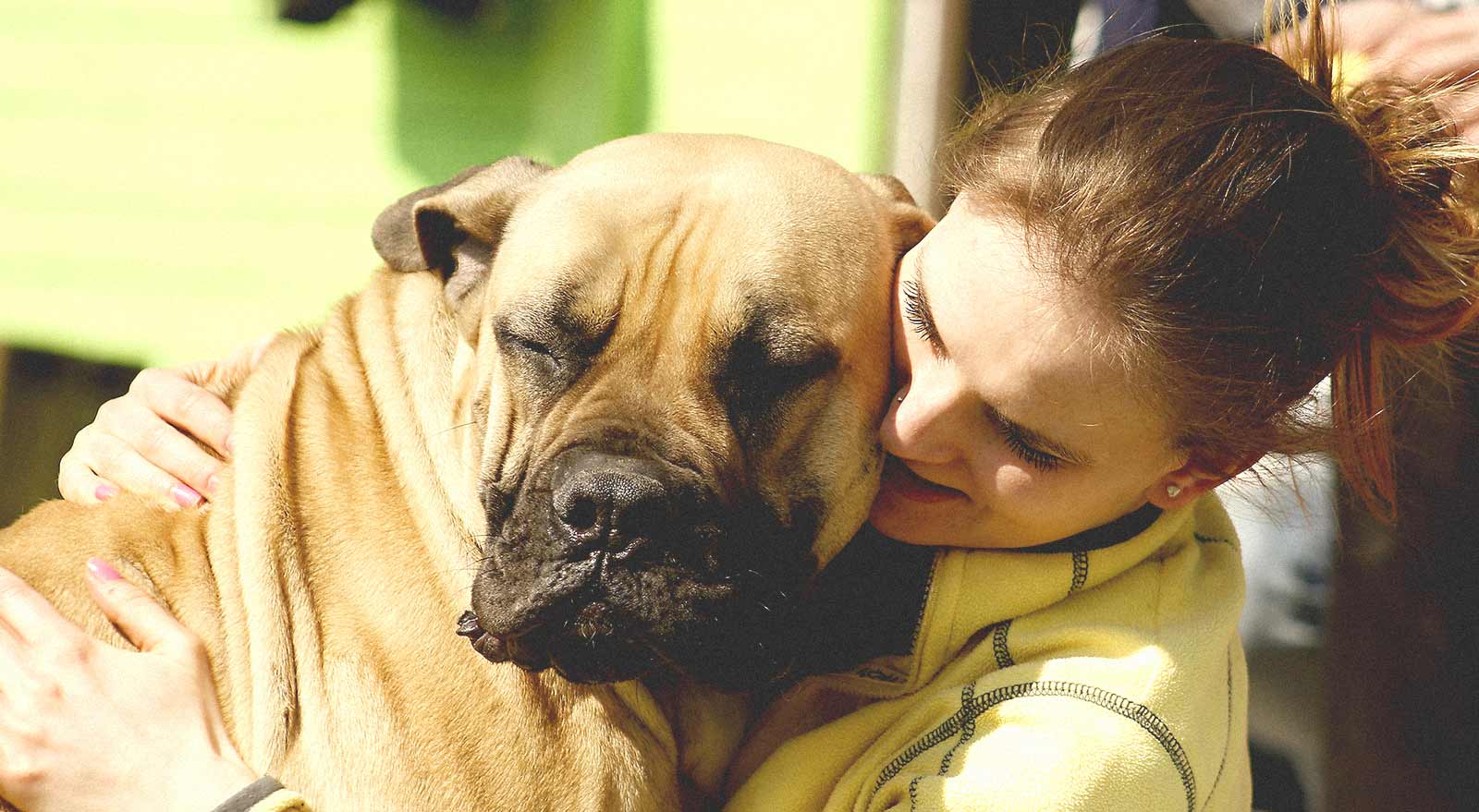 Humane-Society-Court-Ordered-Volunteer